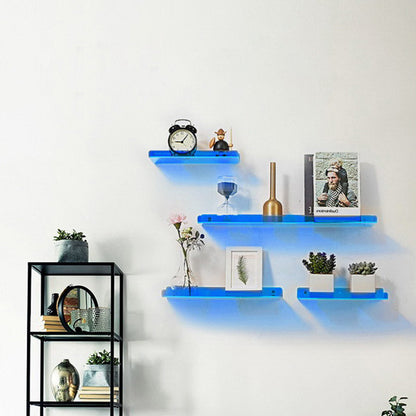 Acrylic Wall Mounted Shelf Organizer
