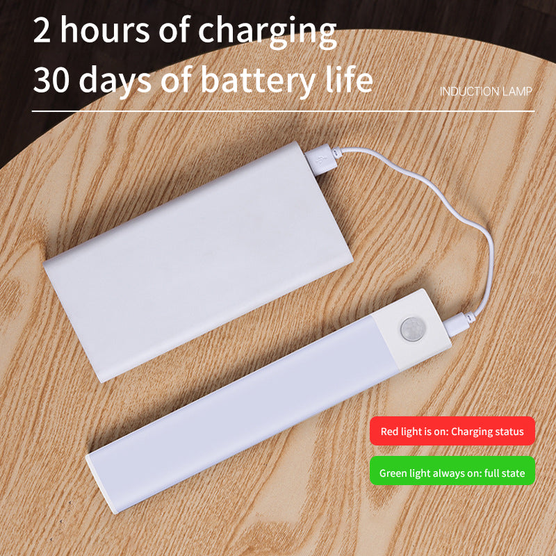 Rechargeable Motion Sensor LED Closet Light