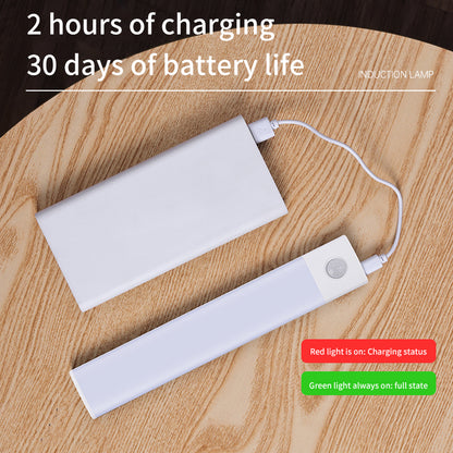 Rechargeable Motion Sensor LED Closet Light