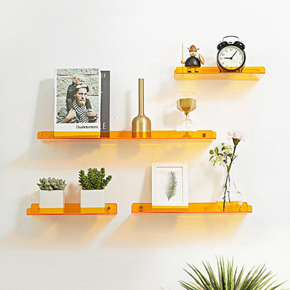 Acrylic Wall Mounted Shelf Organizer